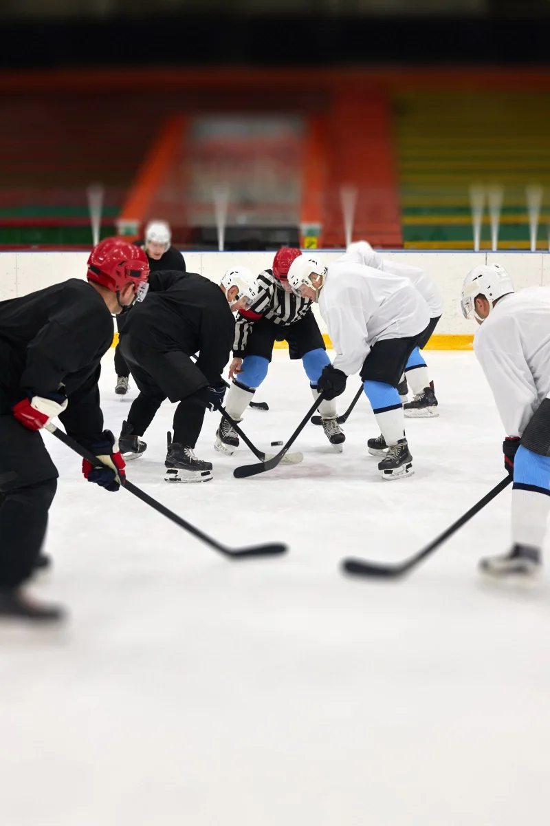 Two ice hockey players in a face-off on a professional indoor rink