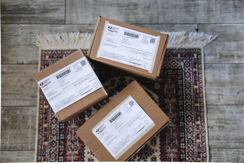 Three labeled express delivery boxes sitting on a decorative rug over a wooden floor.